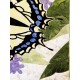 Swallowtail Butterfly Pre-Fused, Laser Cut Applique Kit